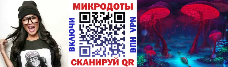 Псилоцибиновые грибы Magic Shrooms  Купить закладки  Шимановск 